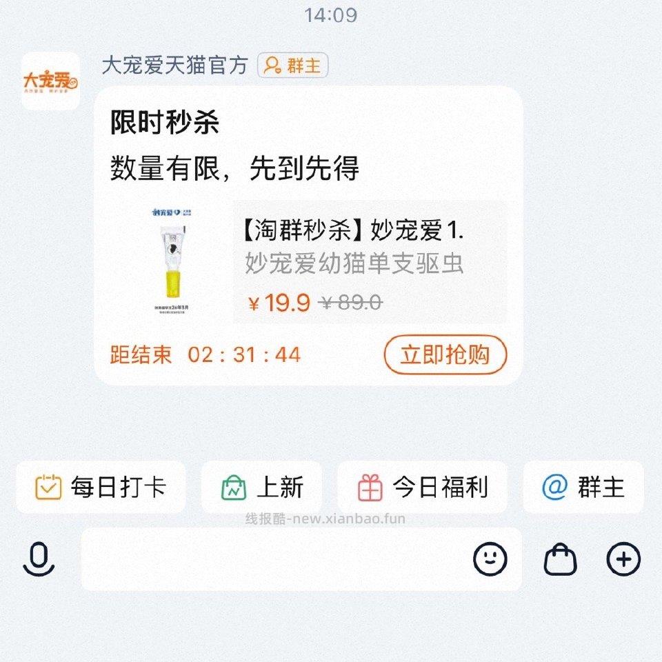 幼猫马区虫 - 线报酷