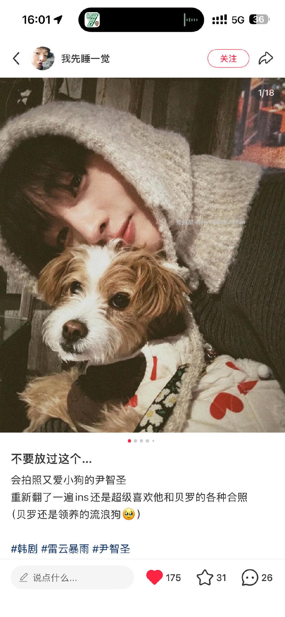 对喜欢小狗狗的人毫无抵抗力 - 线报酷