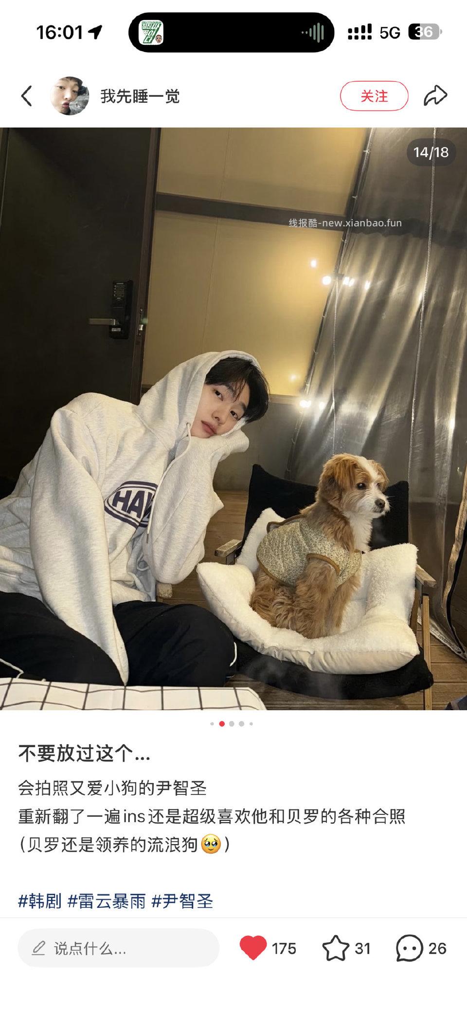 对喜欢小狗狗的人毫无抵抗力 - 线报酷