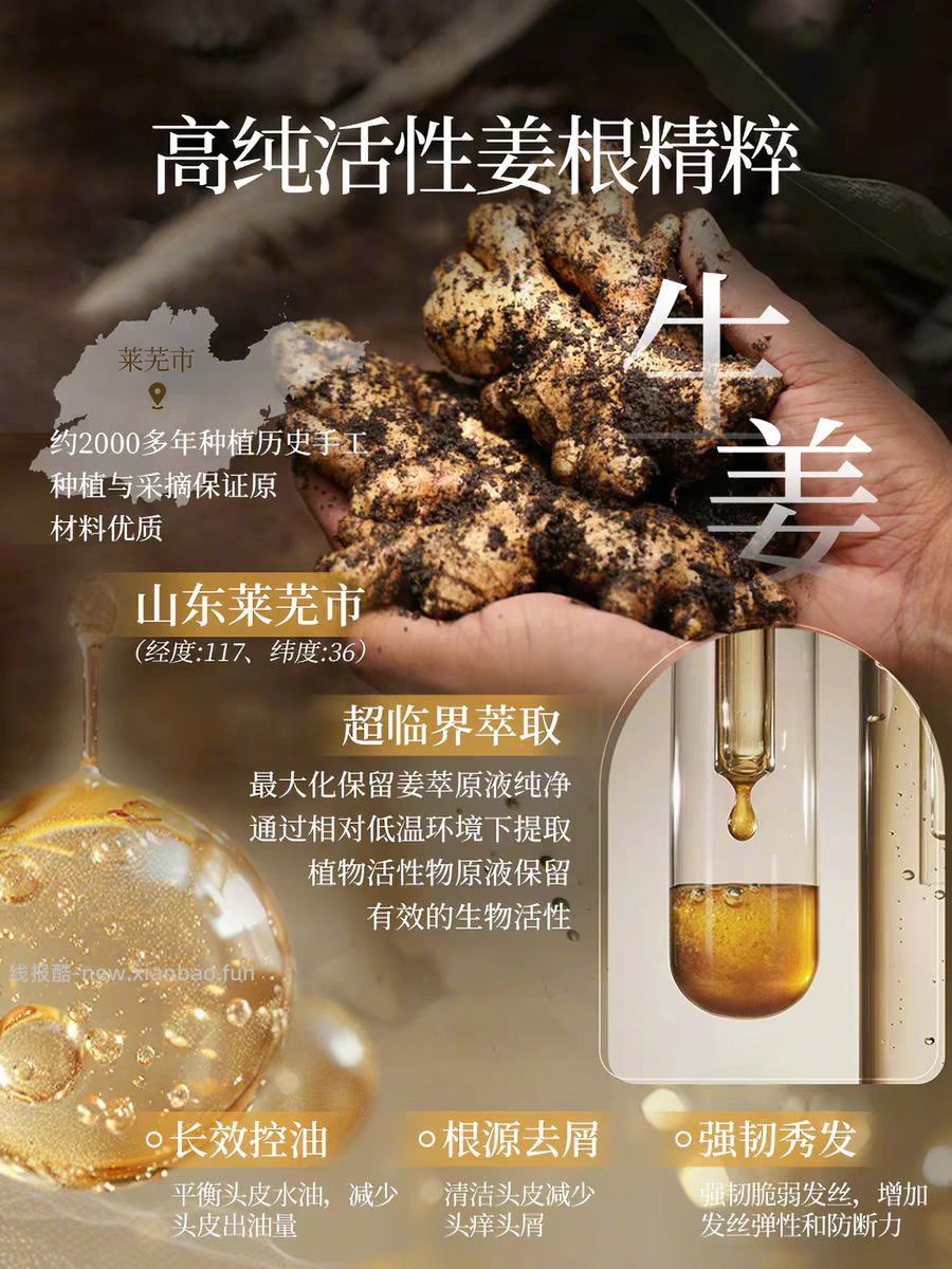 霸王生姜控油洗发水500ml 17元 - 线报酷