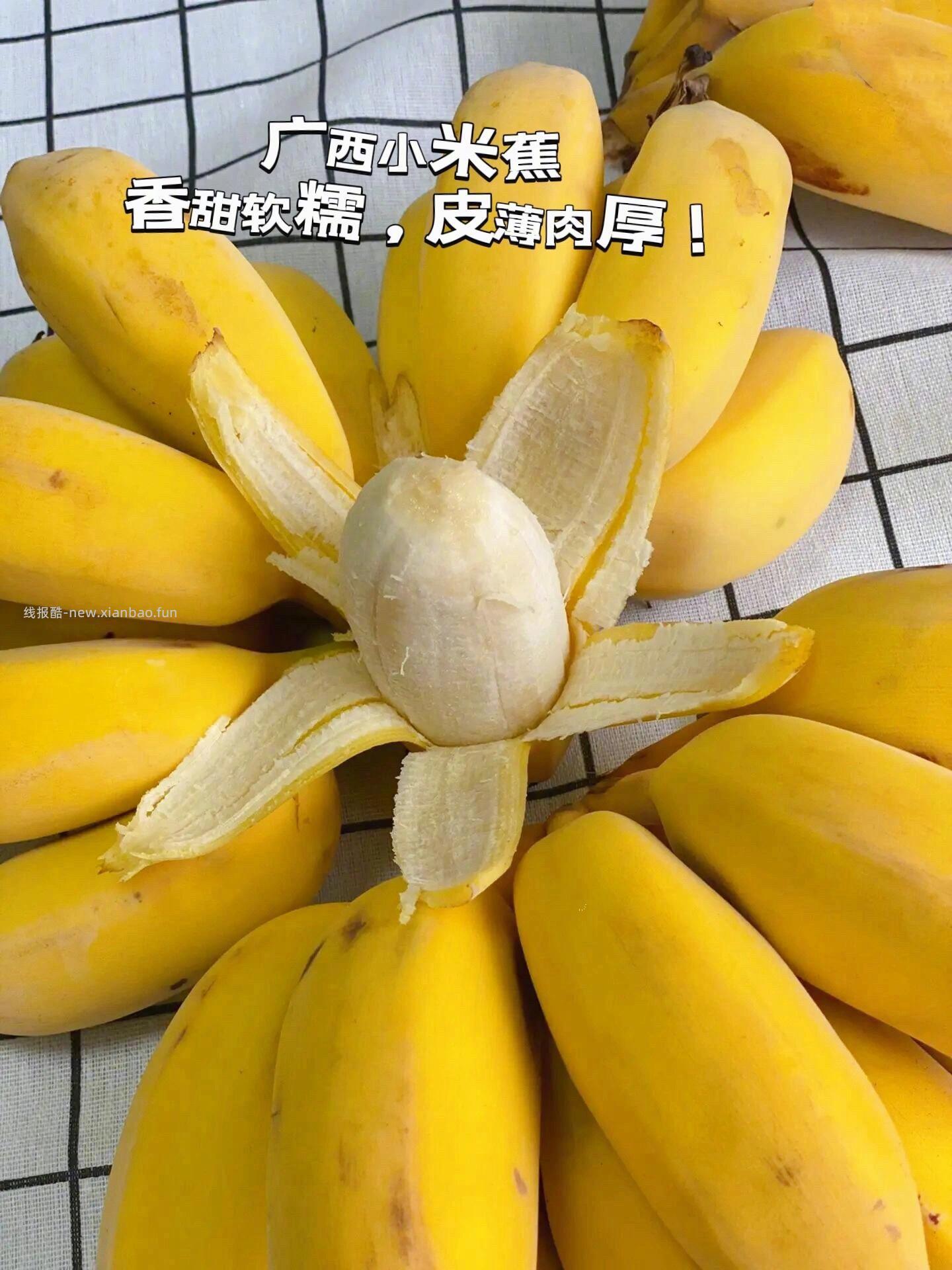 广西现摘小米蕉五斤 11元 - 线报酷