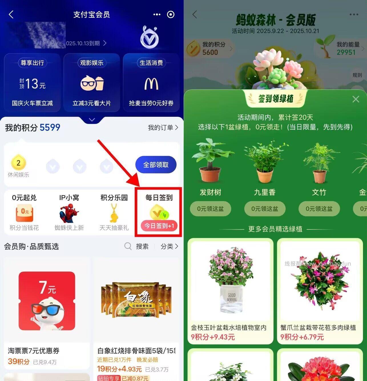 zfb蚂蚁森林签20天领绿植 zfb-我的-zfb荟员 右侧 每日签到 - 线报酷
