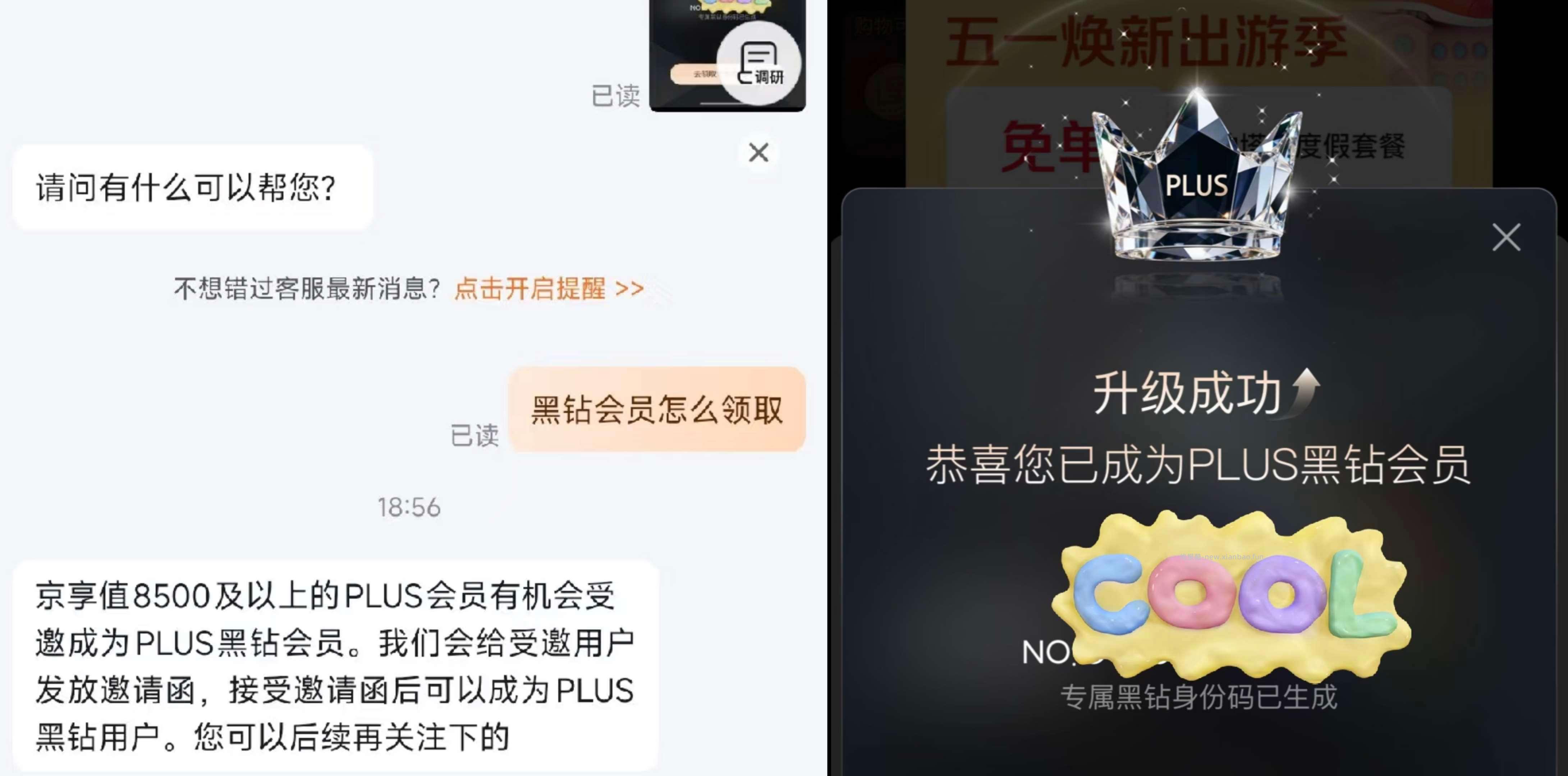 如京东Plus 有6500分 在我的-PLus进去 少部分号受邀 自动弹升级黑钻 - 线报酷