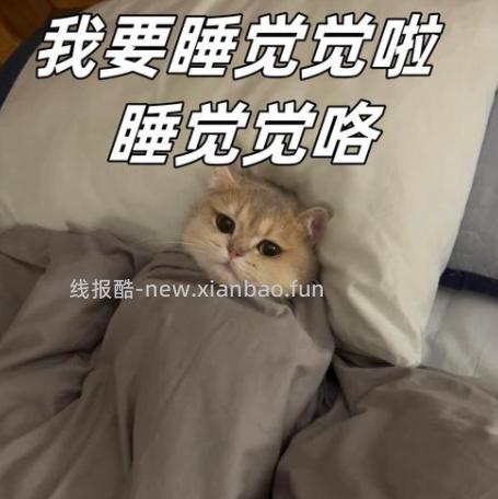 该睡啦 晚安 - 线报酷