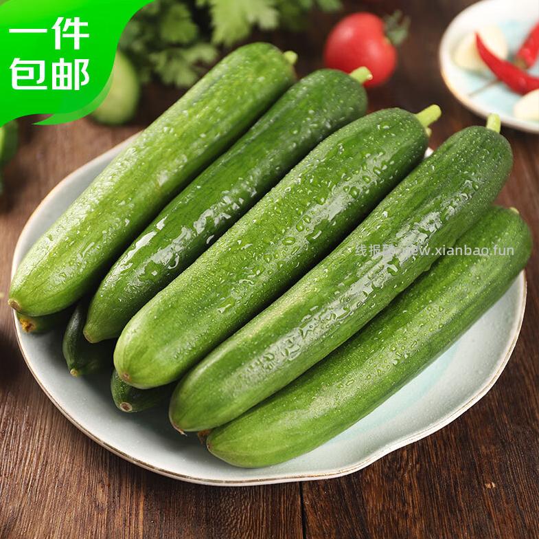 17.9 山东水果嫩黄瓜 净重4.5斤 单根68g+ 包邮的 - 线报酷