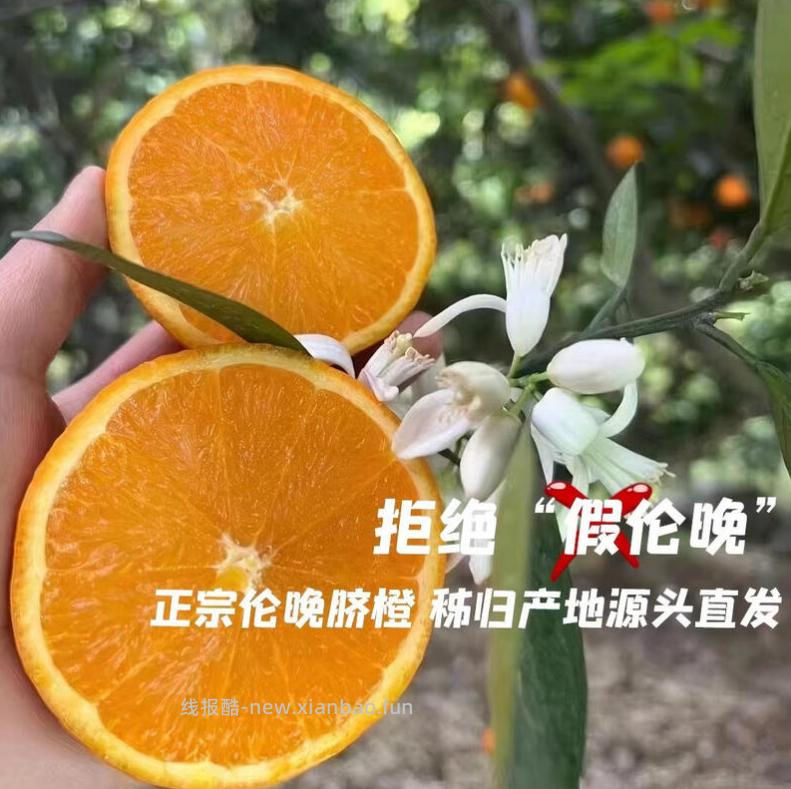 京觅秭归伦晚脐橙净重7斤 26.8元 - 线报酷