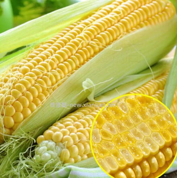 水果玉米5斤 6.99元 - 线报酷