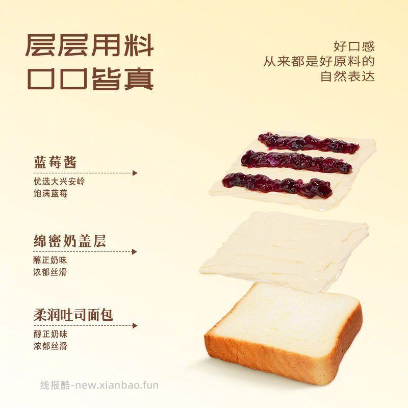 宏途蓝莓奶盖吐司90g*6包 19.9元 - 线报酷