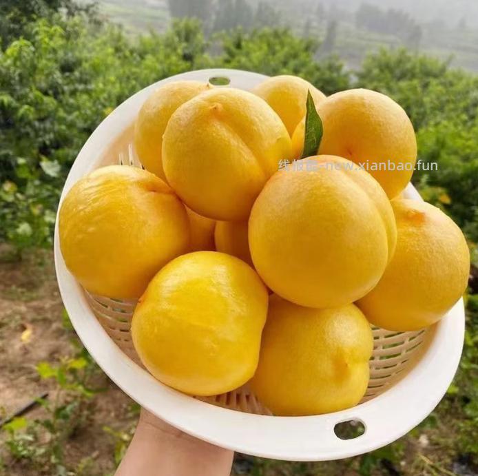 我们来逐步分析这段文本 - 线报酷