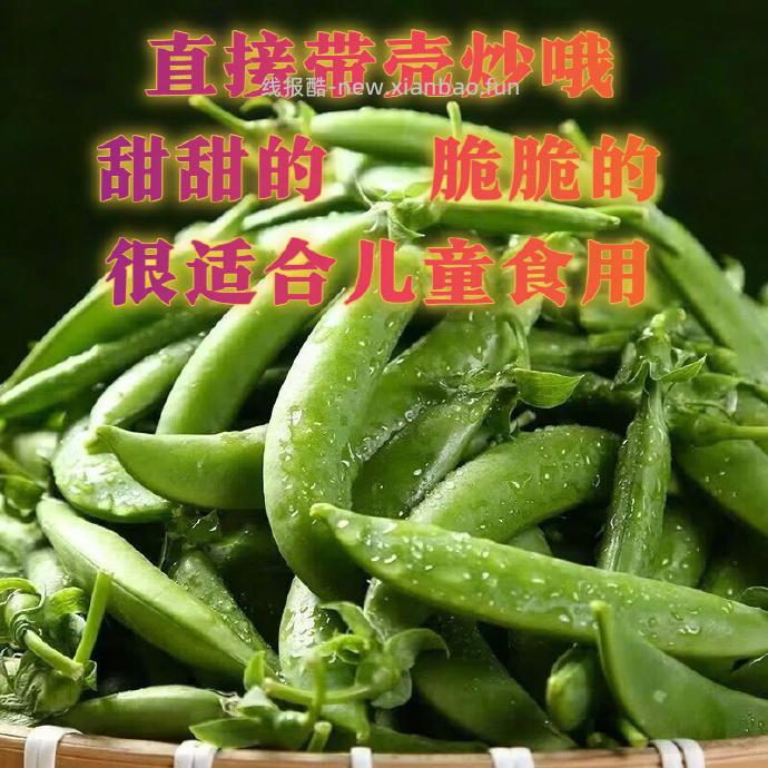 15.9 云南新鲜甜豆净重2斤 折7.95/斤 包邮的 - 线报酷
