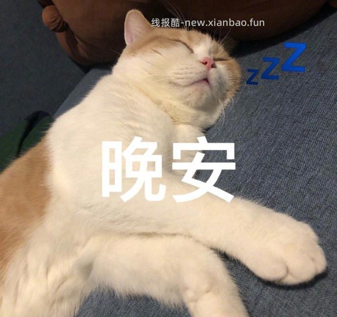 不早啦该休息啦 小伙伴们晚安 - 线报酷