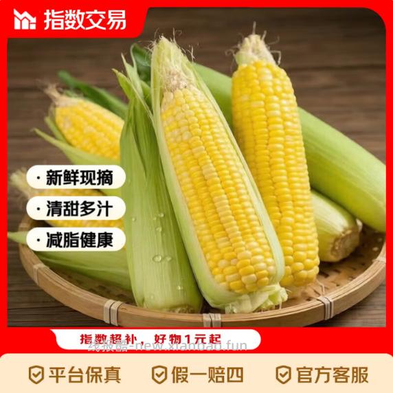 新鲜水果玉米5斤 6.86元 - 线报酷