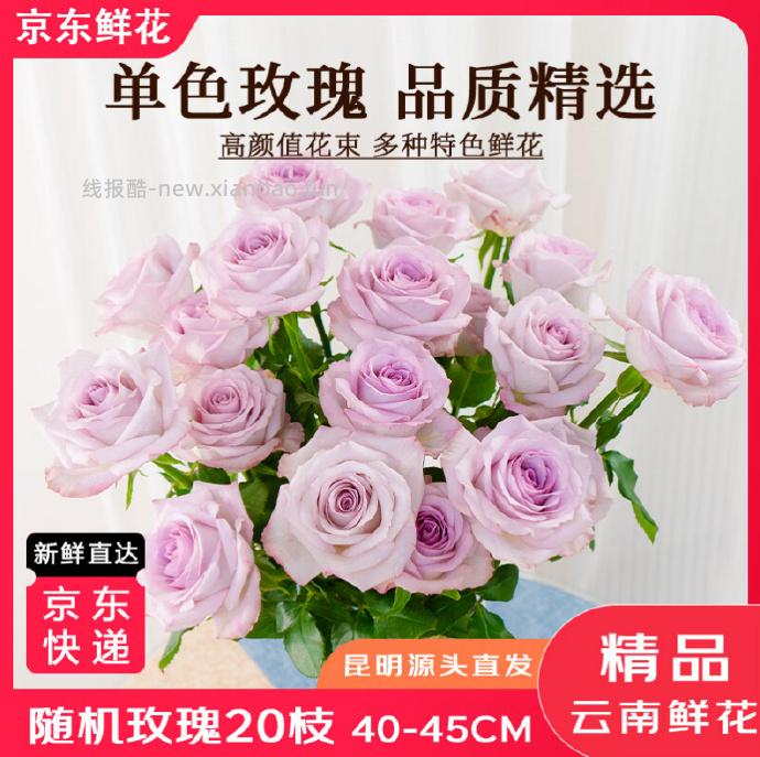 京东鲜花玫瑰花买10枝送10枝 19.9元 - 线报酷