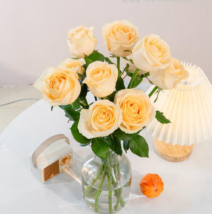 京东鲜花 玫瑰花生活花玫瑰10枝+康乃馨10枝+水仙5枝，共25支 22.9元 - 线报酷