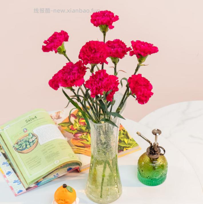 京东鲜花 玫瑰花生活花玫瑰10枝+康乃馨10枝+水仙5枝，共25支 22.9元 - 线报酷