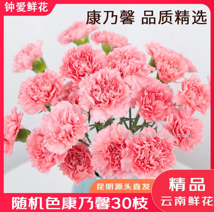 钟爱云南鲜花30枝 19.9元 - 线报酷