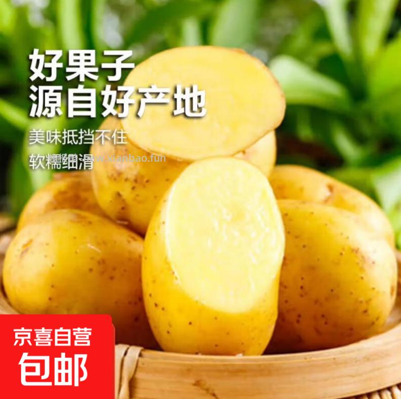 山西新鲜黄皮黄心土豆2斤 0.9元 - 线报酷