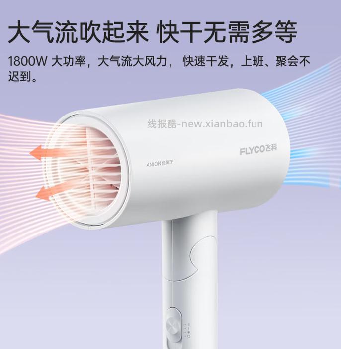 66 飞科 FLYCO 电吹风机 1800W的功率 可折叠的 负离子护发 - 线报酷