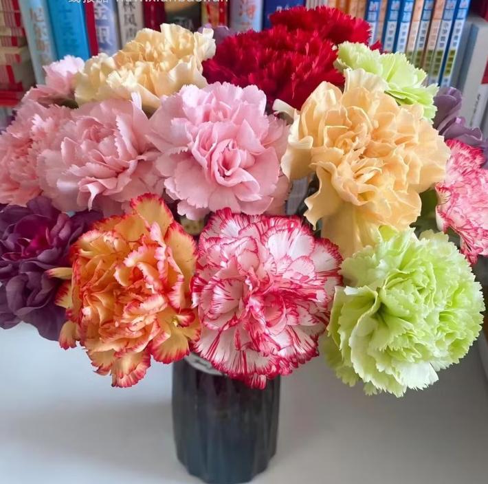 与花同行 斗南鲜花基地康乃馨鲜花10枝 11.99元 - 线报酷