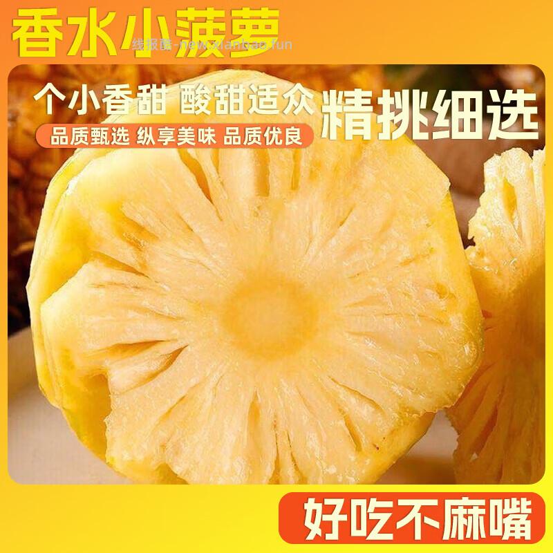 1.69 京喜.香水菠萝小果1个装 单果0.8-1.2斤 需叠加从京东app首页 - 线报酷