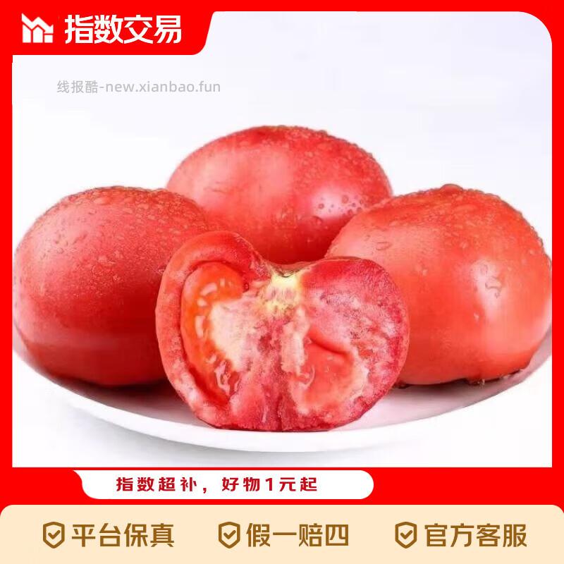 沙瓤番茄带箱5斤装 8.90元 - 线报酷