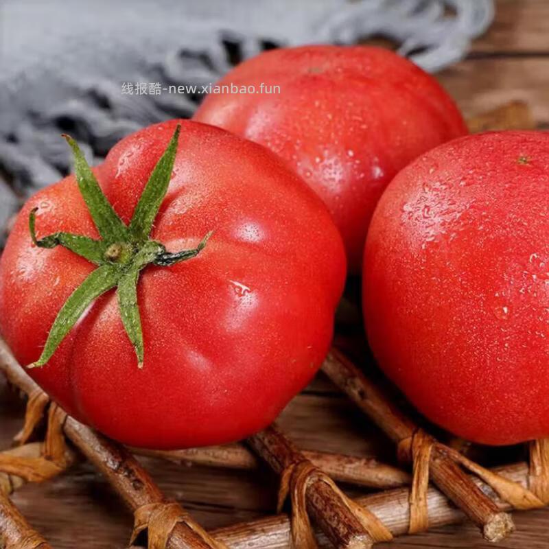 沙瓤番茄带箱5斤装 8.90元 - 线报酷