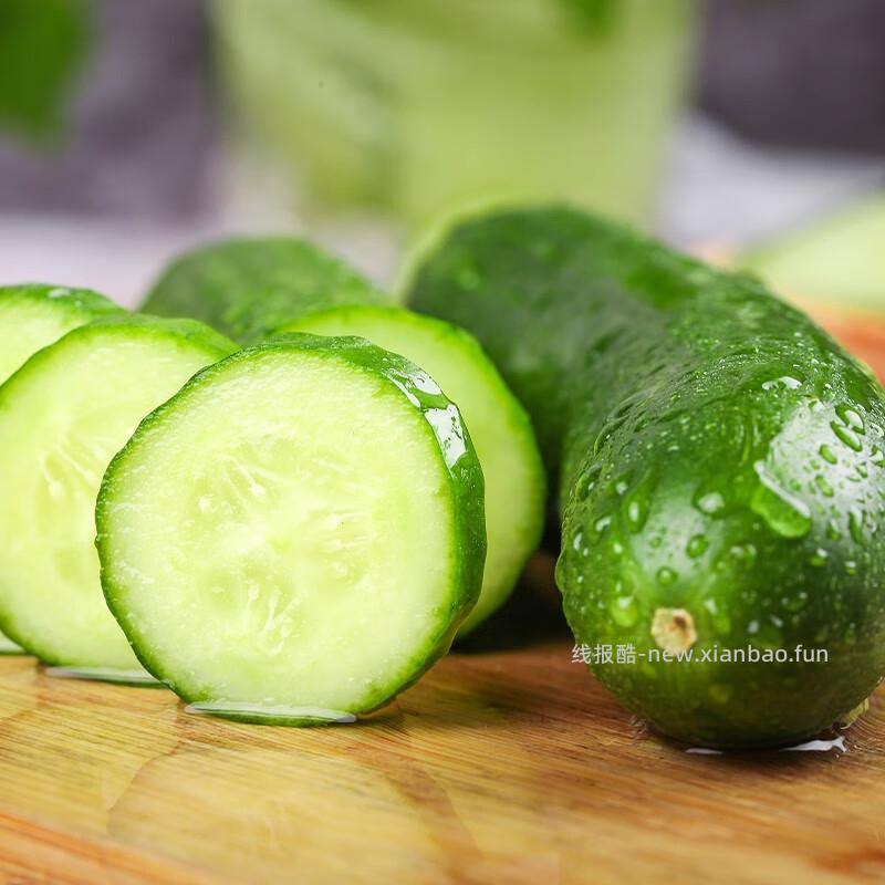 京鲜生山东荷兰水果黄瓜净重3斤 8.90元 - 线报酷