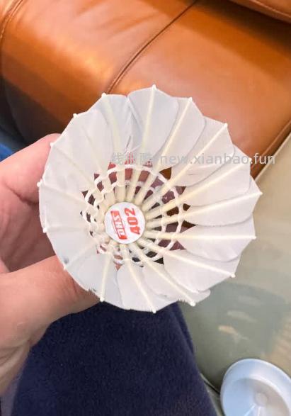 红双喜402超耐打训练羽毛球6只 30元 - 线报酷