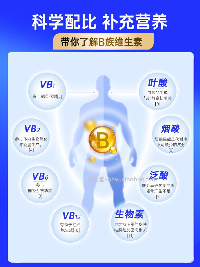 黄金搭档多种B族维生素片30粒*2瓶 13.9元 - 线报酷
