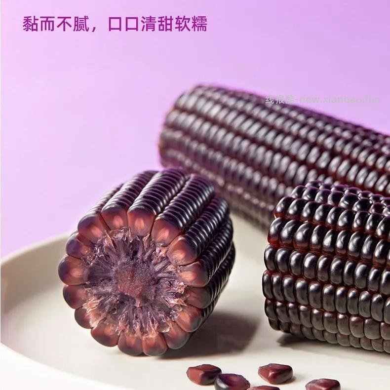 十月稻田黑糯玉米棒2kg 19.74元 - 线报酷