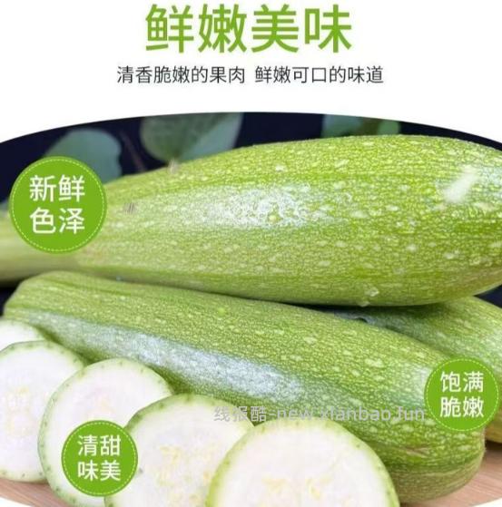 山东寿光西葫芦带箱5斤 5.61元 - 线报酷