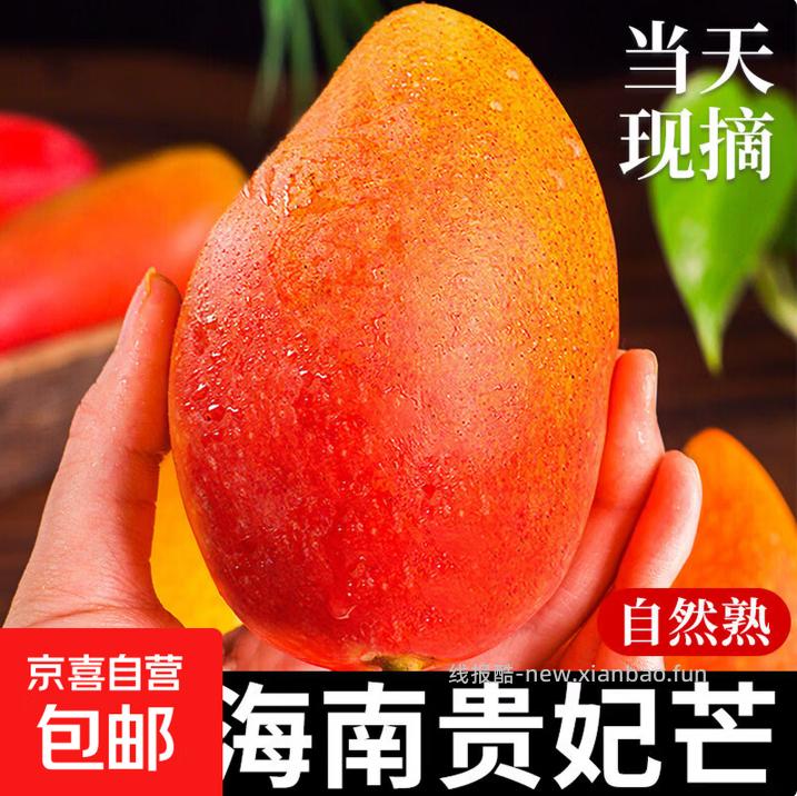 海南贵妃芒净重4.5斤 8.9元 - 线报酷