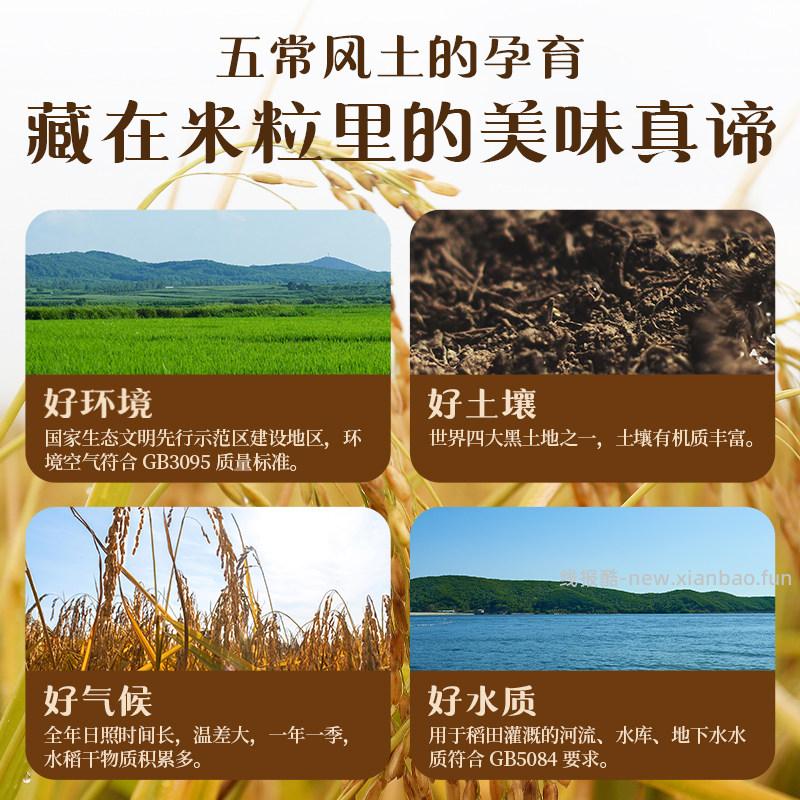 十月稻田五常香米5kg 27.27元 - 线报酷