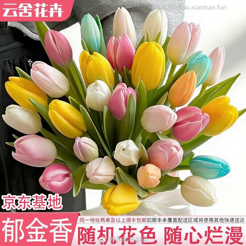 云舍花卉 随机色郁金香10支 🔴到手9.9元 折0.9元 5.9💰 - 线报酷