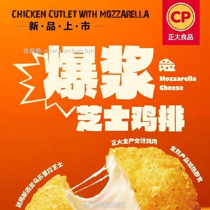 正大芝士流心爆浆鸡排6.4斤/40片 64.9元 - 线报酷