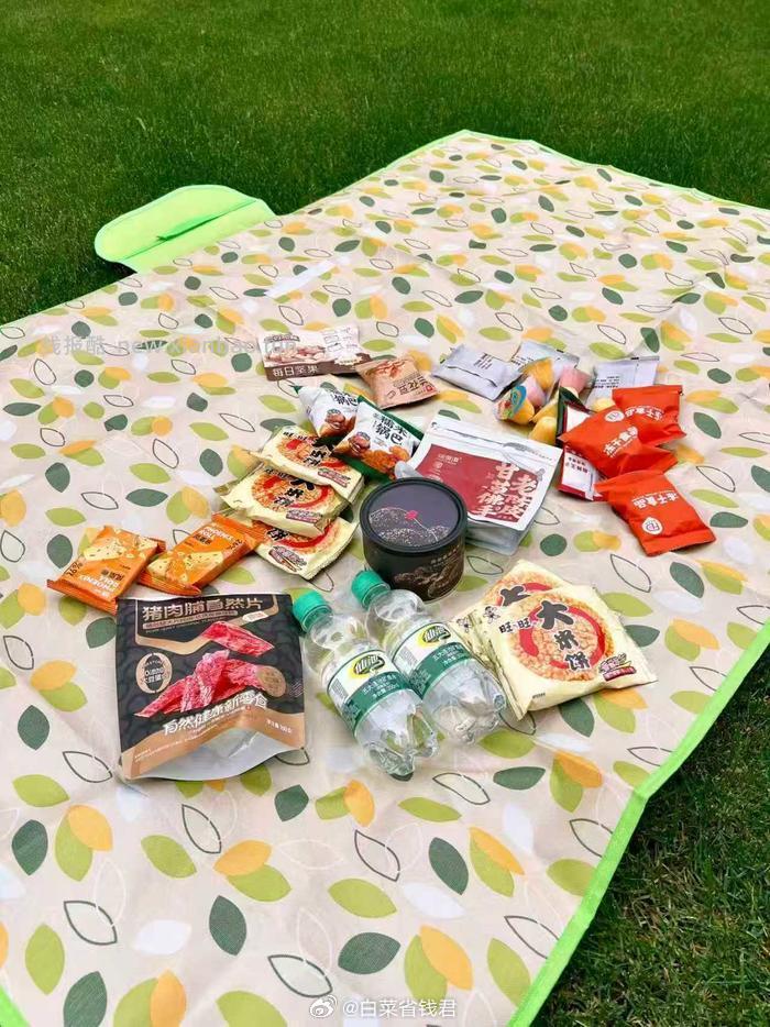 TEEIS户外露营野餐垫 24.9元 - 线报酷