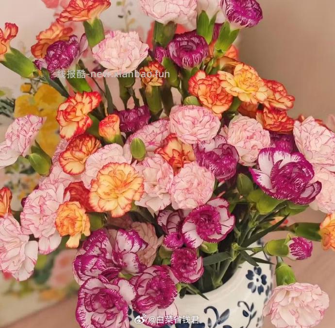 与花同行 斗南鲜花基地康乃馨鲜花10枝 11.99元 - 线报酷