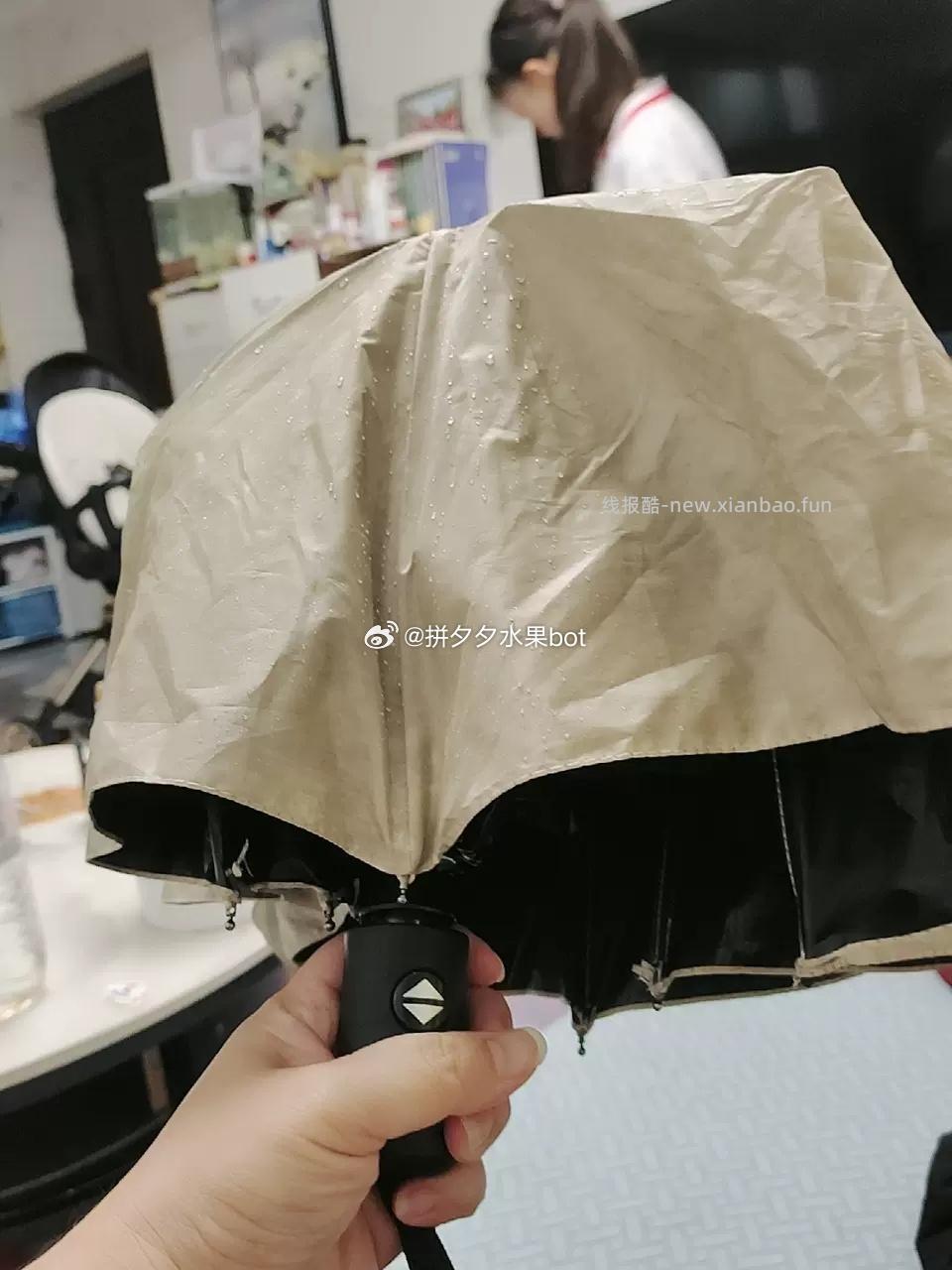 自动雨伞1把，10元 - 线报酷