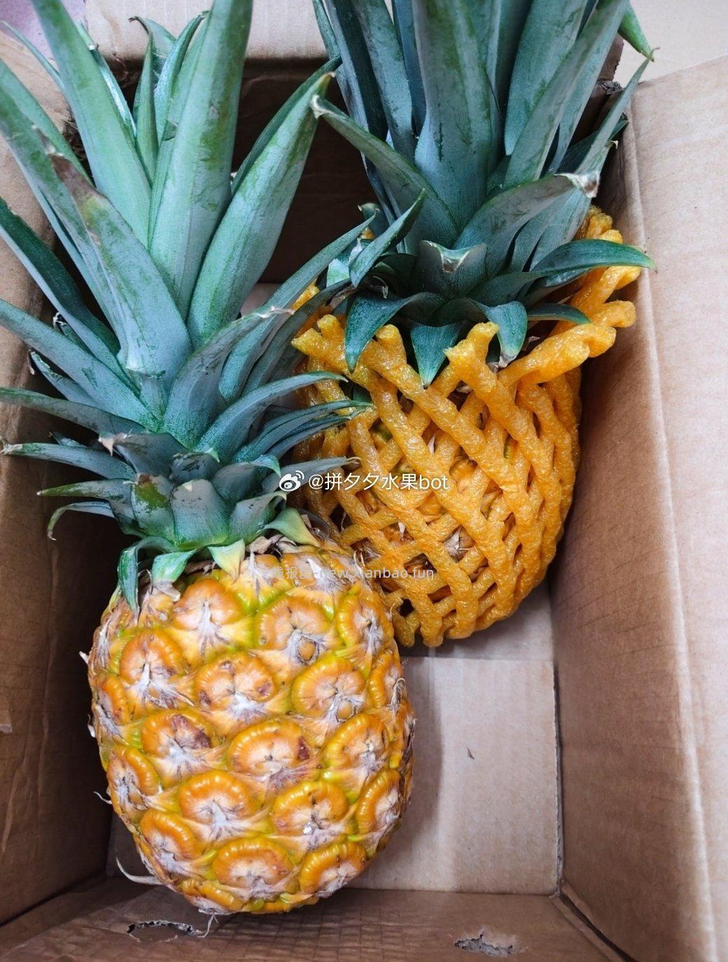 金💎凤梨 净重4.5斤 13.9元 - 线报酷