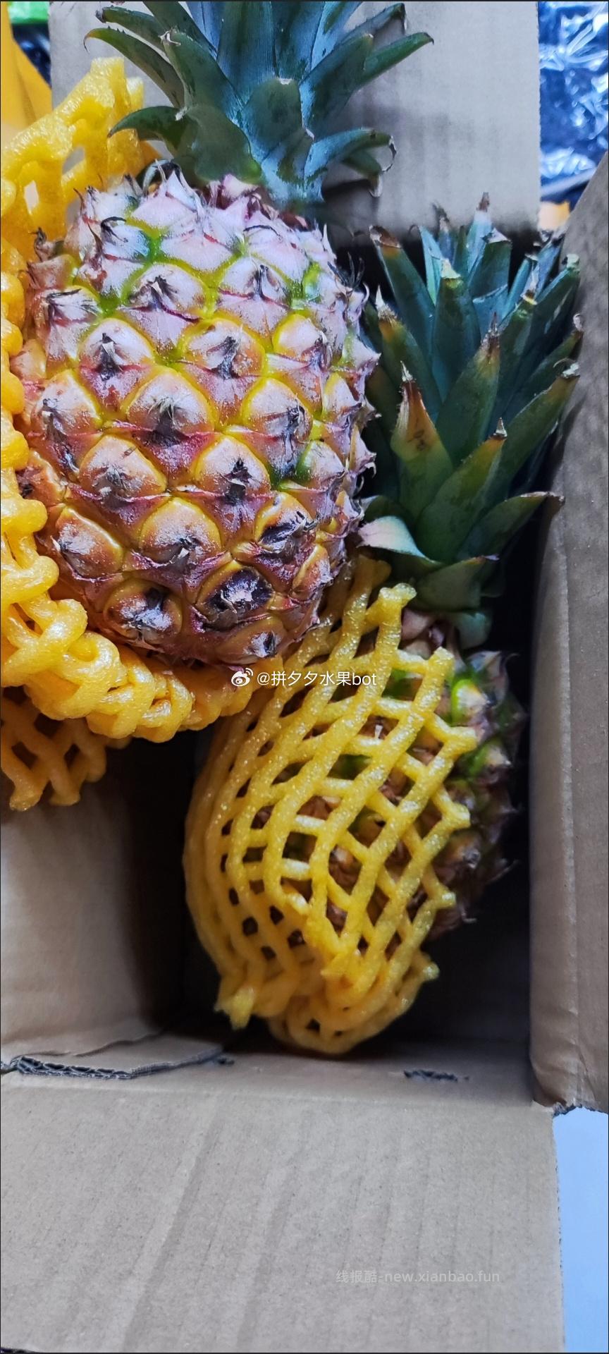 金钻凤梨2斤左右 9.9元，金钻凤梨一个一斤左右 9.9元 - 线报酷