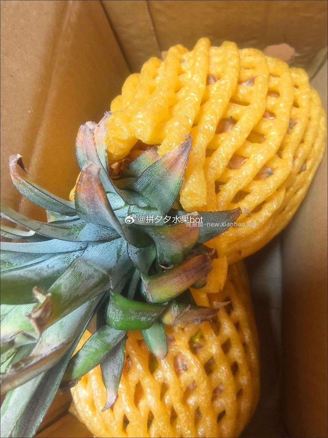 海南新鲜金钻凤梨2-2.5斤净重 9.9元 - 线报酷