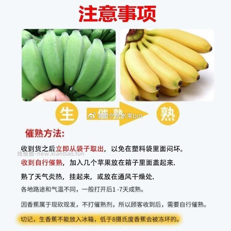 广西小米蕉 带箱5斤 10.6元 - 线报酷