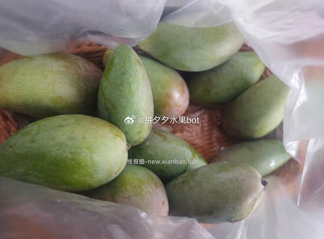 贵妃芒净重4.5斤 9.9元 - 线报酷