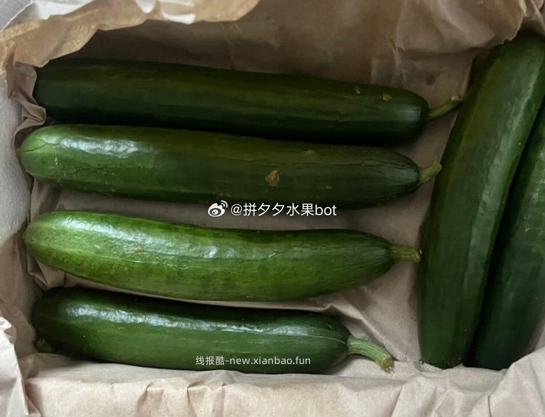 京觅水果黄瓜净重5斤 16.9元 - 线报酷