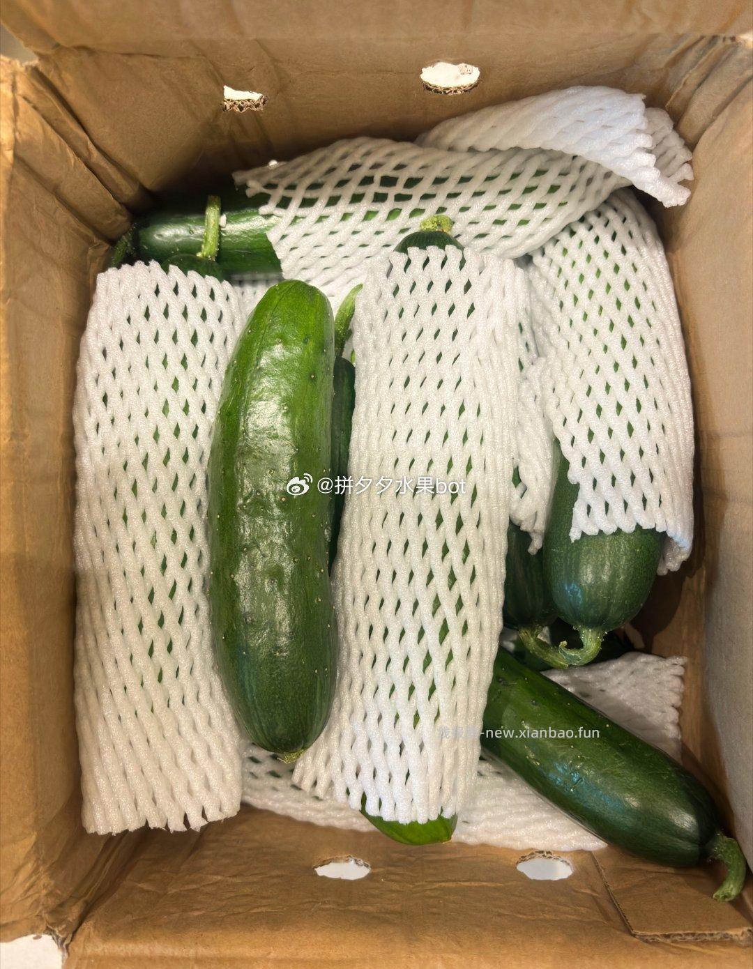 旱黄瓜 净5斤 12.5元 - 线报酷