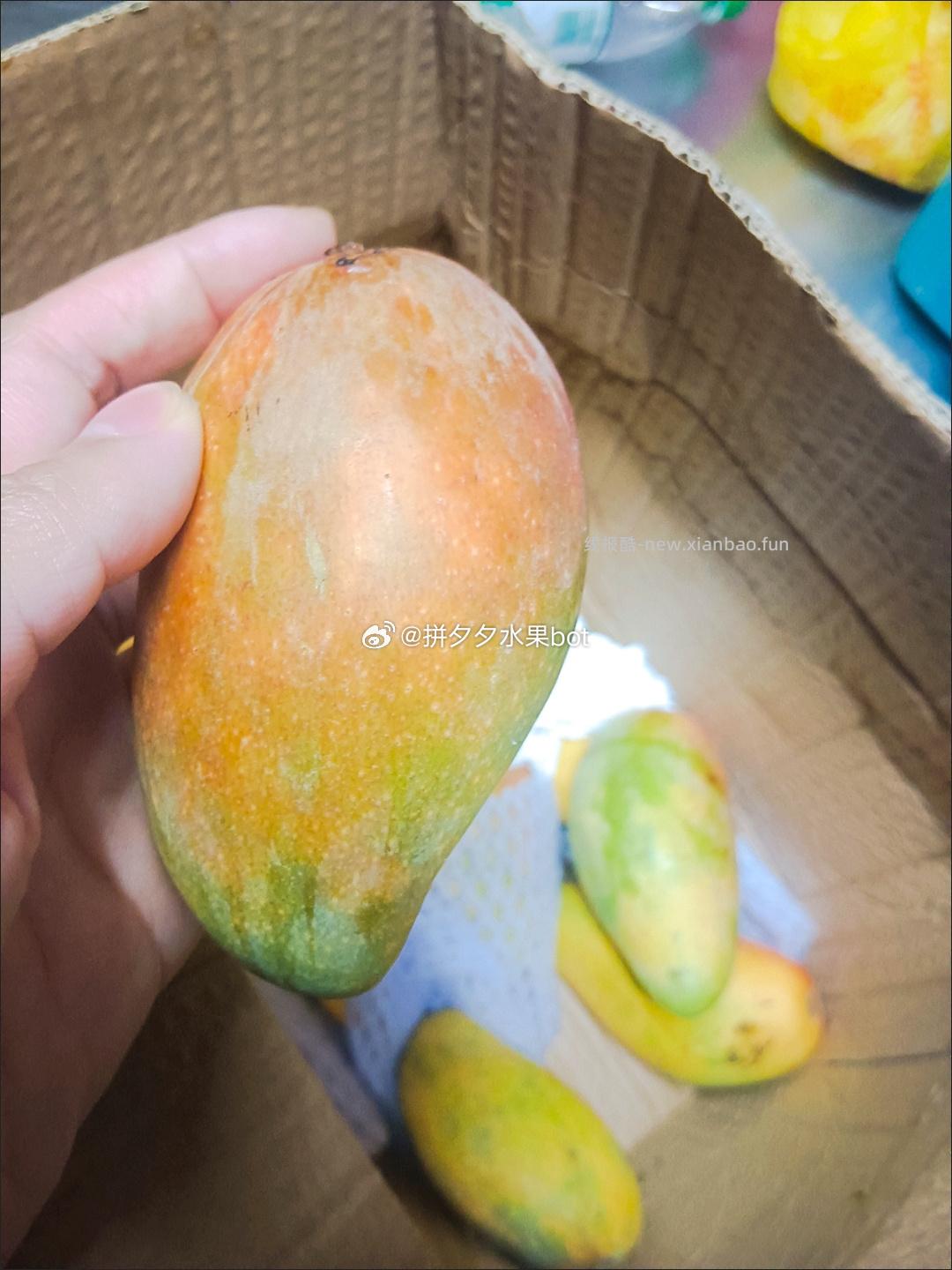 贵妃芒 5-6斤带箱 11.8元 - 线报酷