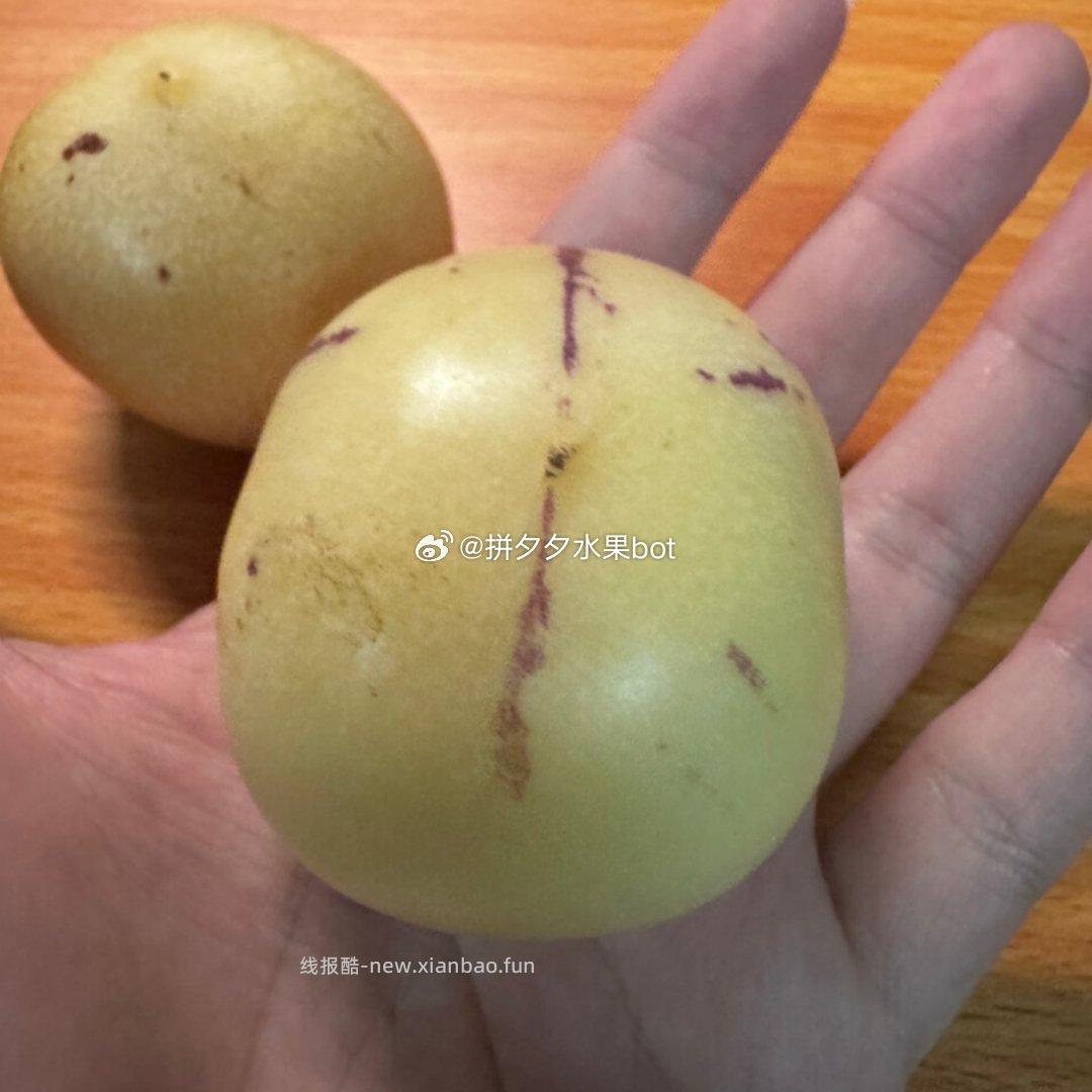 京鲜生石林人参果净重5斤 19.9元 - 线报酷