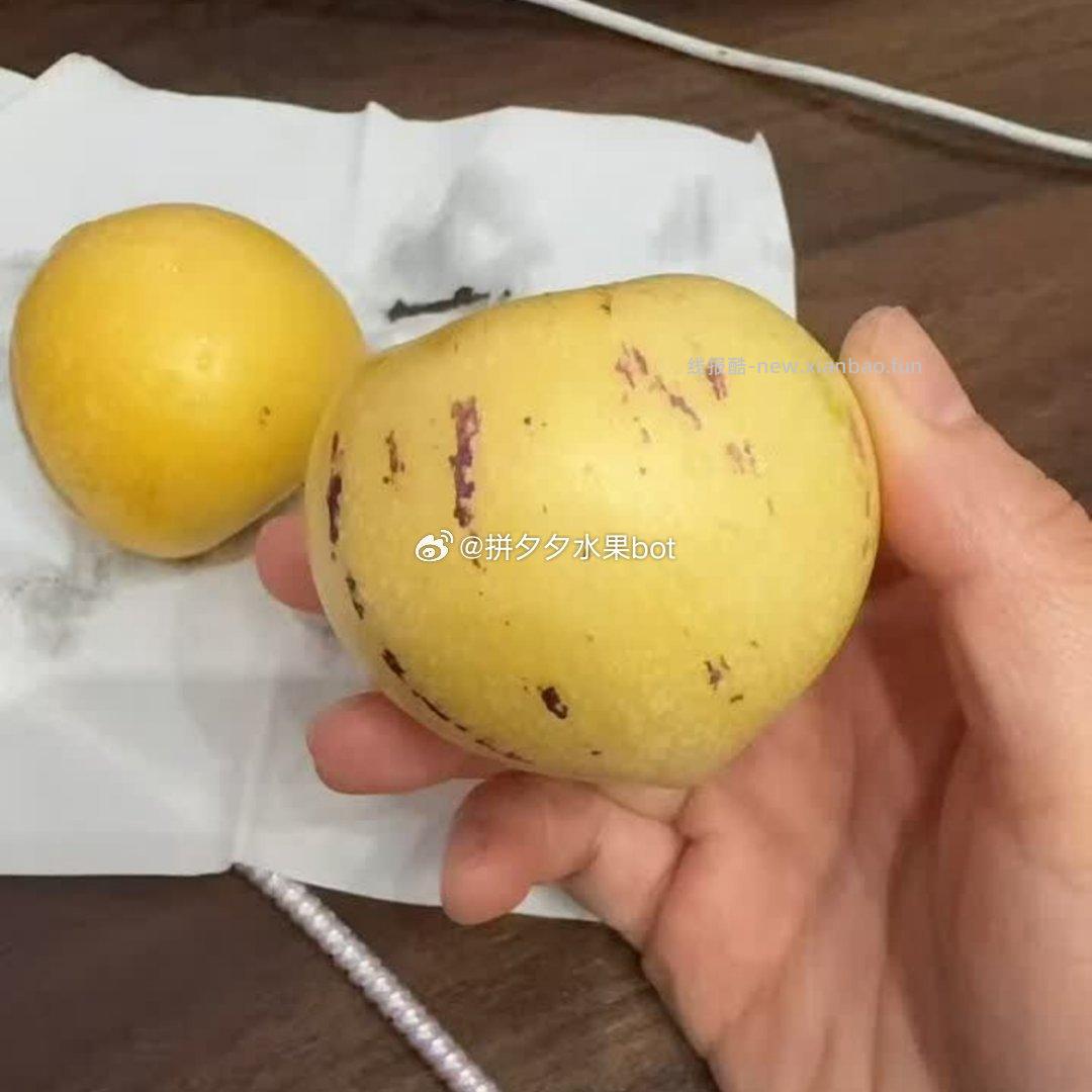 京鲜生石林人参果净重5斤 19.9元 - 线报酷