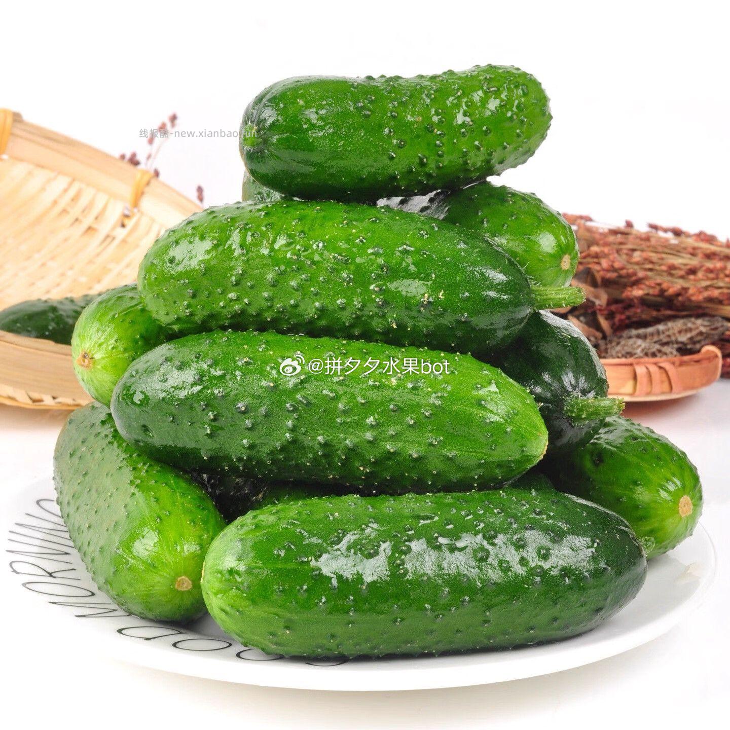 玛莎小黄瓜净重4.5斤 12.9元 - 线报酷