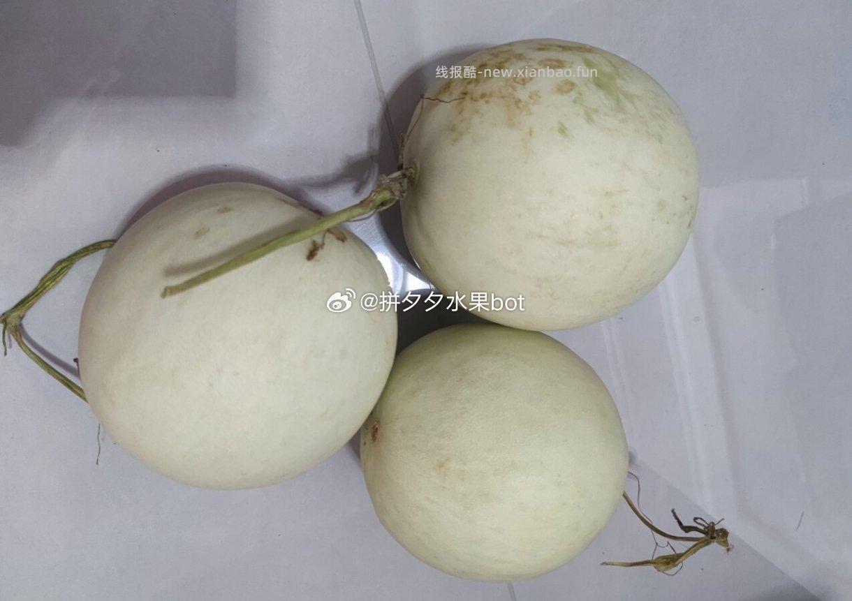 玉菇甜瓜净重8-8.5斤 21-24元 - 线报酷